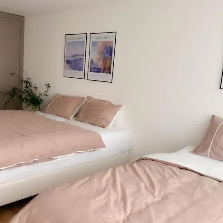 Appartamento City Comfort - 2br Newly Renovated -301- Zurigo