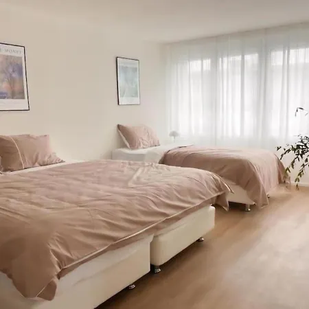 Appartamento City Comfort - 2br Newly Renovated -301- Zurigo