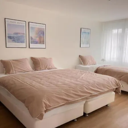 City Comfort - 2br Newly Renovated -301- Zurich